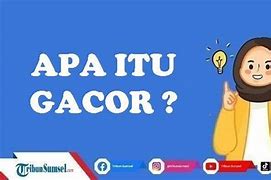 Gacor Dalam Bahasa Gaul Adalah